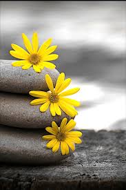 BÀI HỌC GIỮ VỮNG TÂM TÍNH của NGƯỜI XƯA