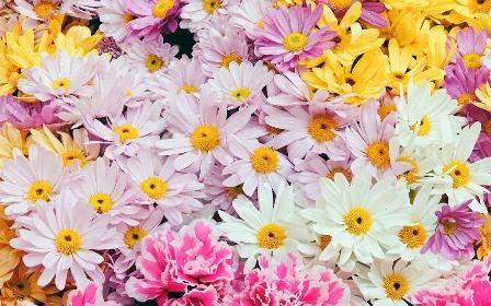 GIÁ TRỊ CUỘC SỐNG