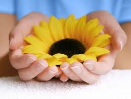 HẠNH PHÚC TRONG TÂM TA