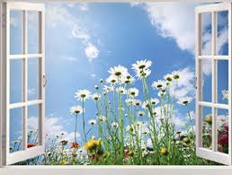 BÀI HỌC TRONG CUỘC SỐNG bai hoc tu cuoc song