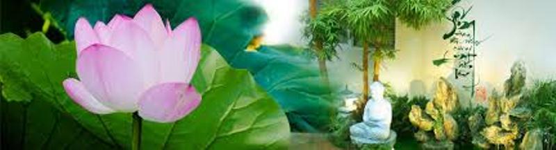 XIN LỖI CHÍNH MÌNH xin loi chinh minh