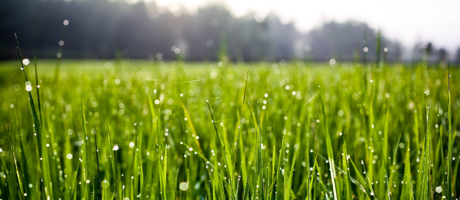 ĐỂ ĐỜI ÍT BUỒN, CHÚNG TA CẦN NHỚ… cuoc song tuoi dep