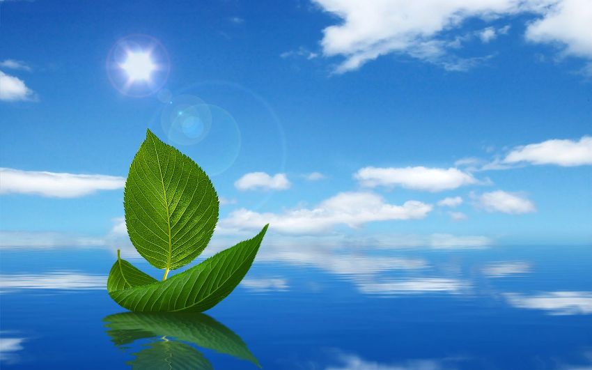 NGHỆ THUẬT TẠO THIỆN CẢM TRONG GIAO TIẾP