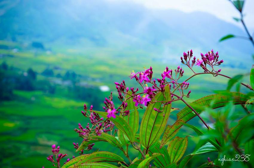 HÃY BẰNG LÒNG VỚI NHỮNG GÌ BẠN ĐANG CÓ bang long voi hien tai