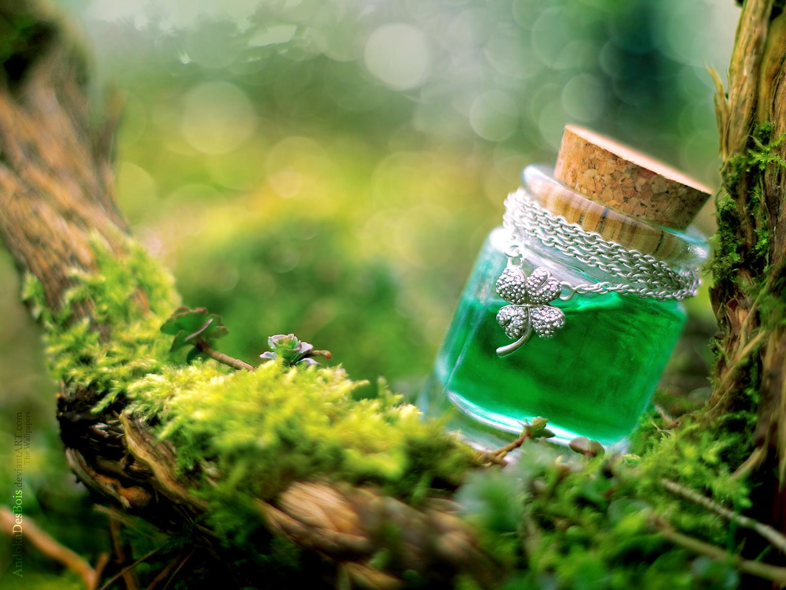 NHỮNG BÍ QUYẾT GIÚP BẠN ĐƠN GIẢN HÓA CUỘC SỐNG …!!!! lo dieu uoc