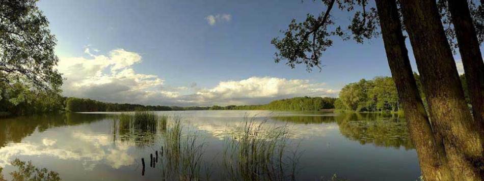 GIÀU CÓ VÀ HẠNH PHÚC