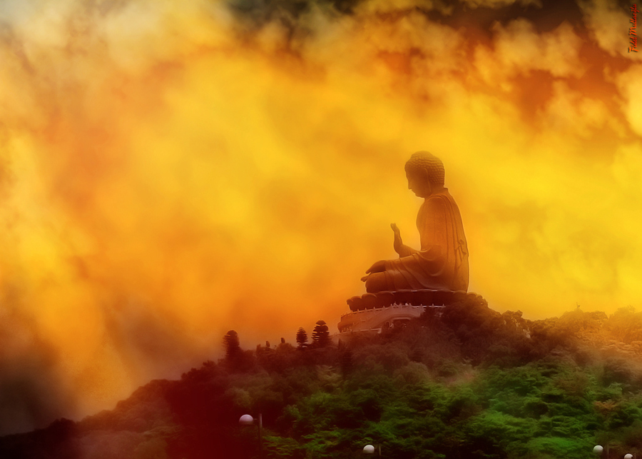 KINH VÔ NGÃ TƯỚNG