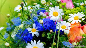 XUÂN QUA CÁI NHÌN CỦA ĐỜI & ĐẠO